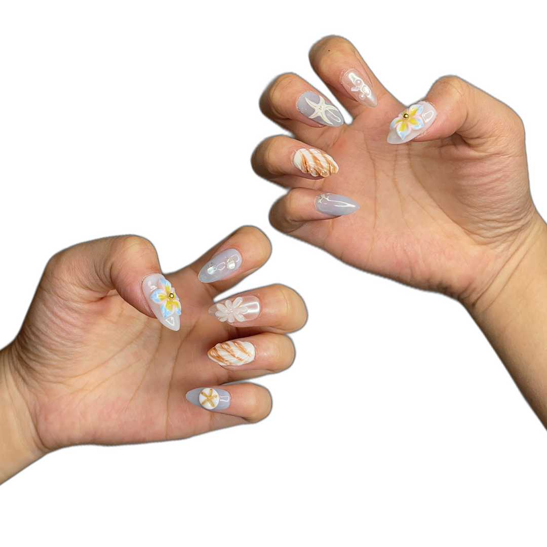 TROPICAL SEASHELL